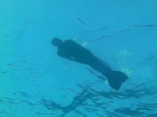 Amateurvideo Mermaid in Bikini Top von sexyengel